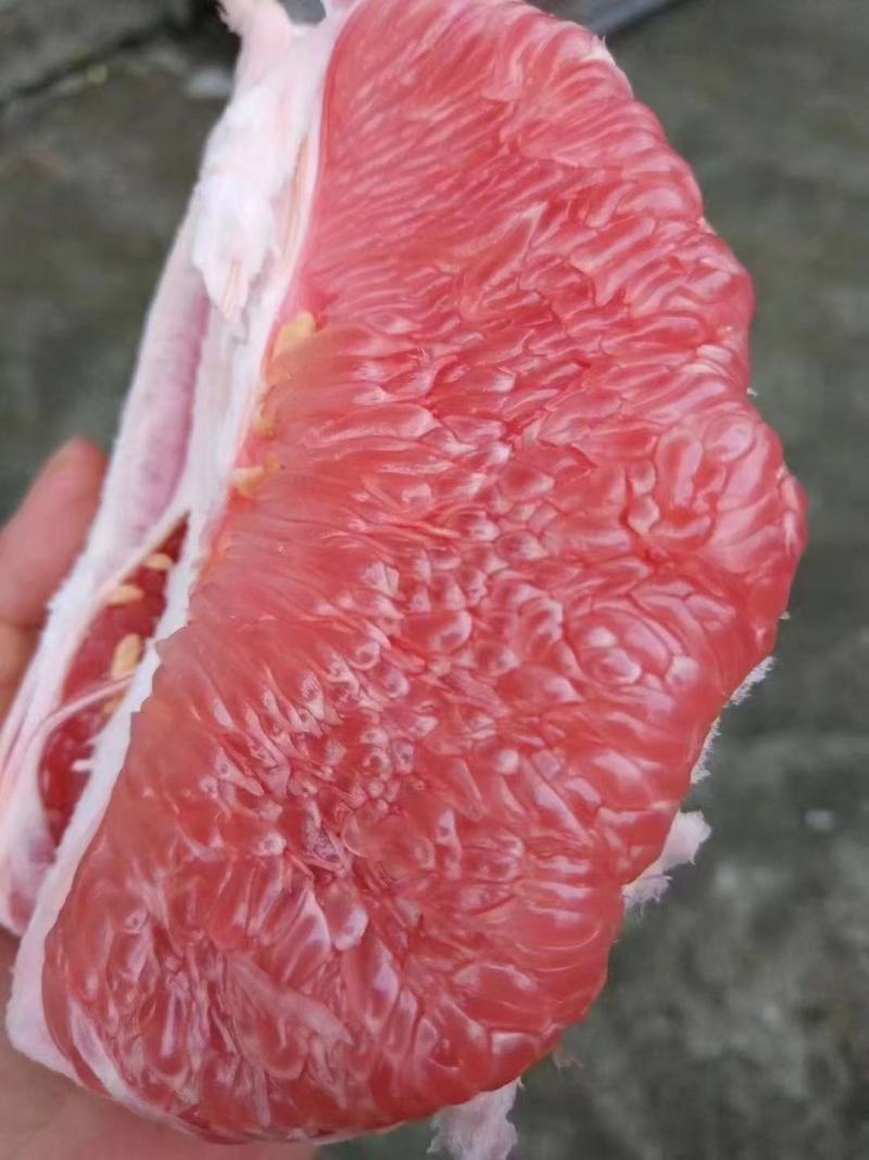 福建平和红心蜜柚，三红柚，白柚，葡萄柚产地直发