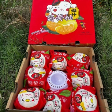 福建平和红心蜜柚，三红柚，白柚，葡萄柚产地直发