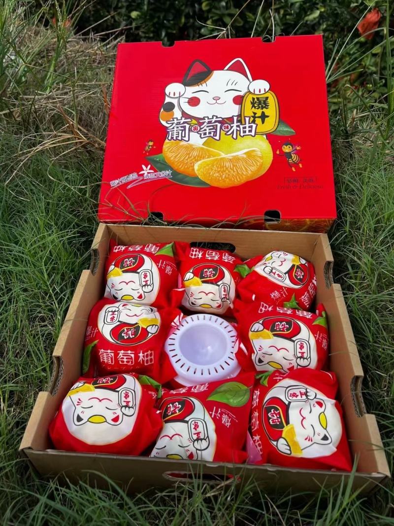 福建平和红心蜜柚，三红柚，白柚，葡萄柚产地直发