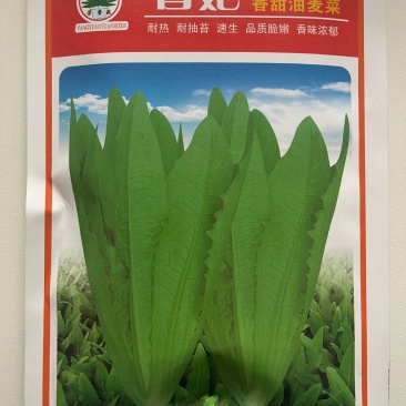 香妃香甜油麦菜种子，耐热耐抽苔，速生，香味浓郁，脆嫩爽口