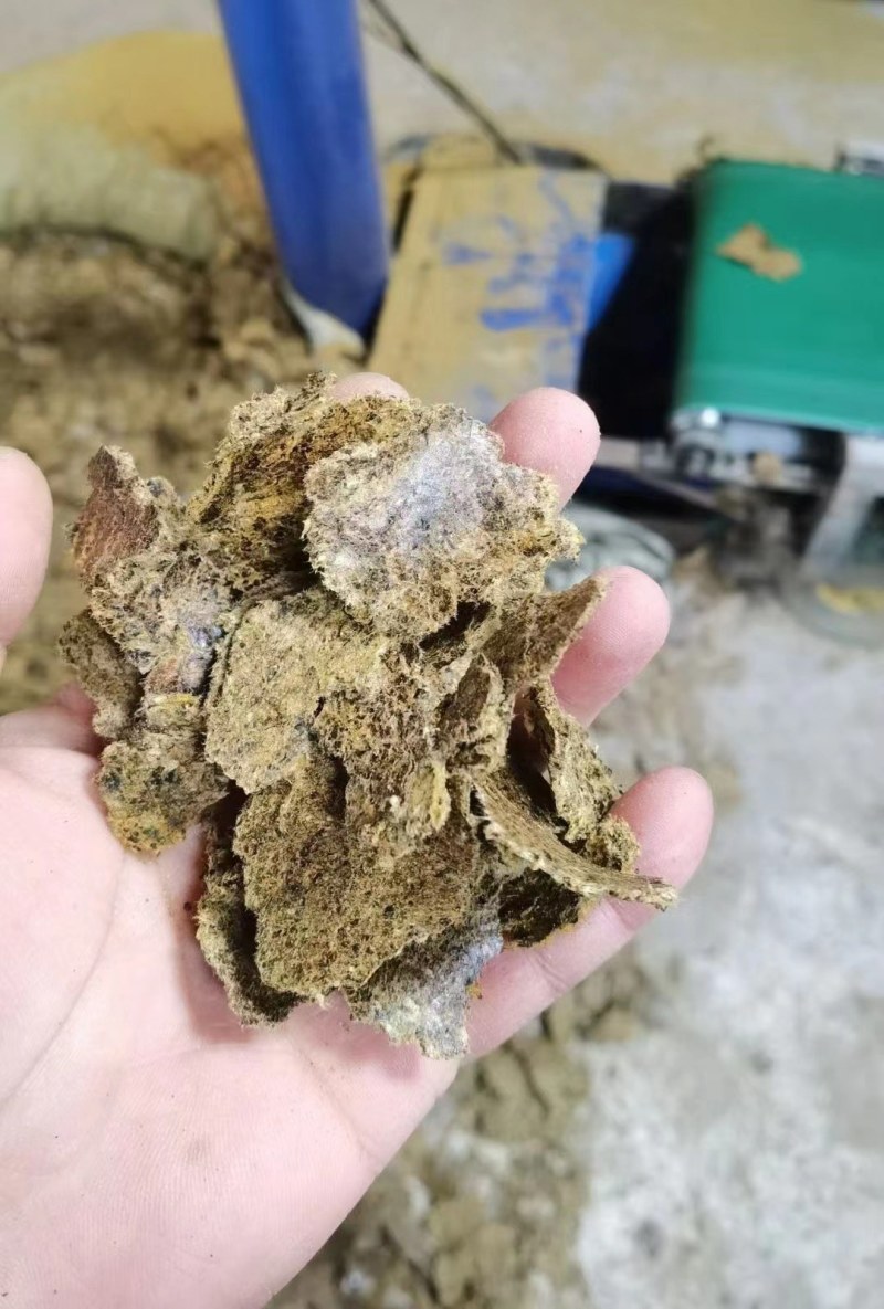 优质棉籽饼，养殖增肥专用，新疆棉籽，供应充足！