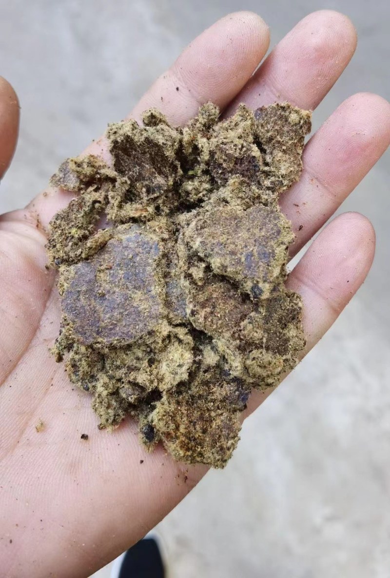 优质棉籽饼，养殖增肥专用，新疆棉籽，供应充足！
