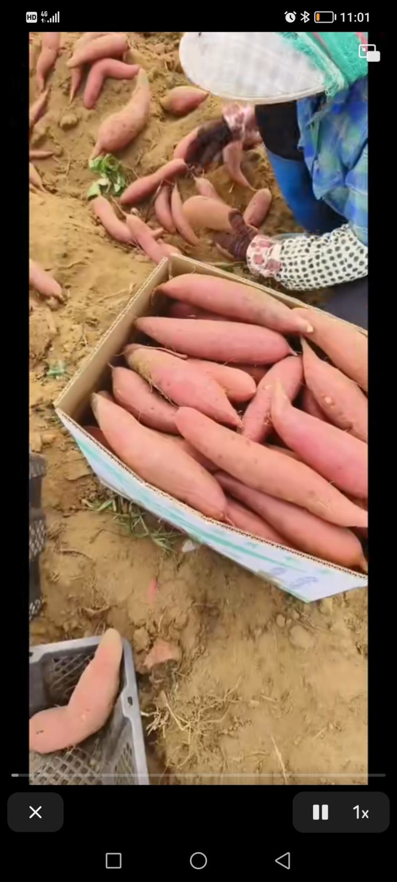 各种各样的农副产品