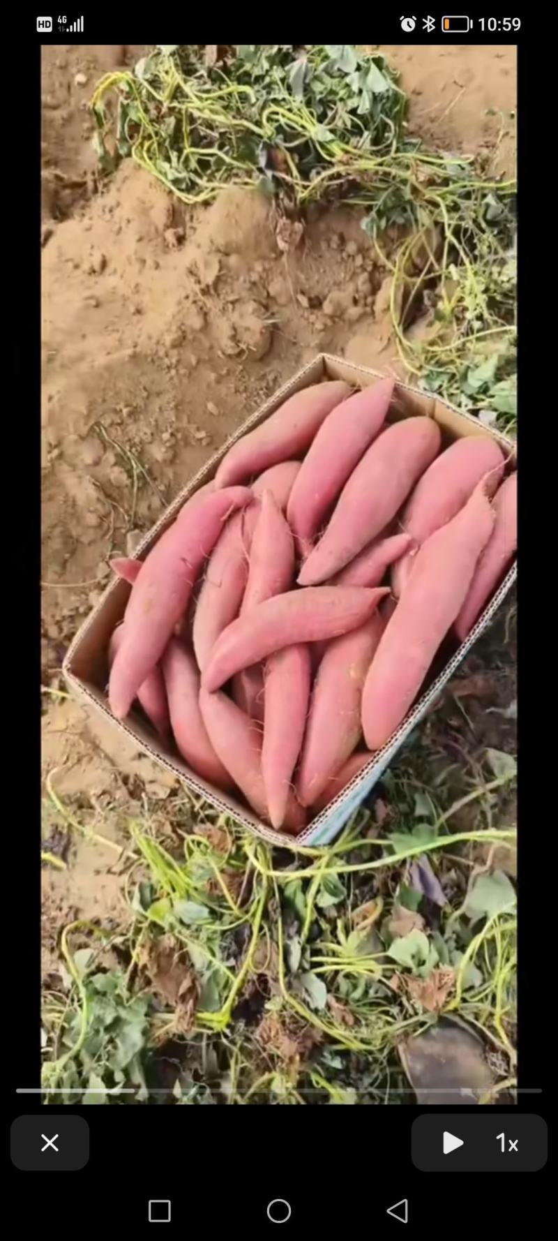 各种各样的农副产品