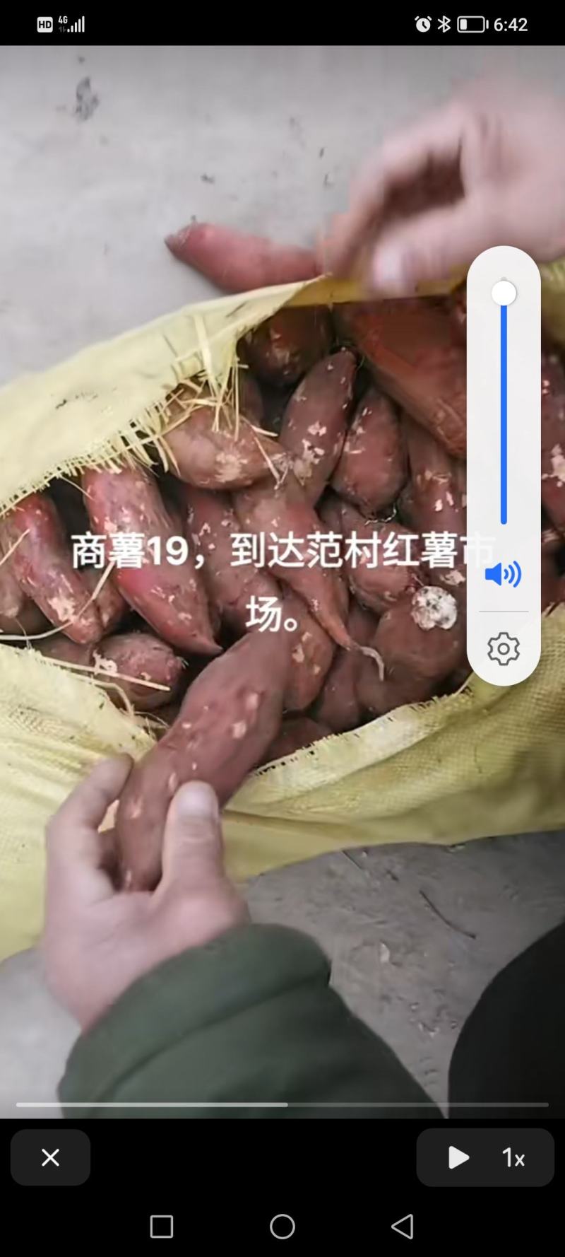 各种各样的农副产品