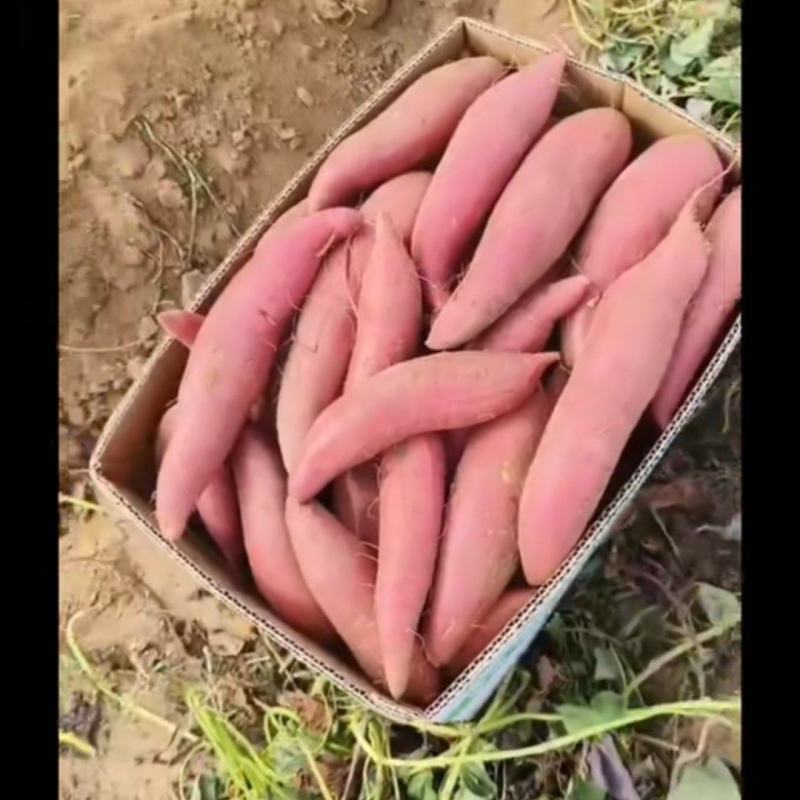 各种各样的农副产品