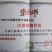 黑皮小冬瓜小黑绿肉节瓜种子肉质脆绿抗性强产量高