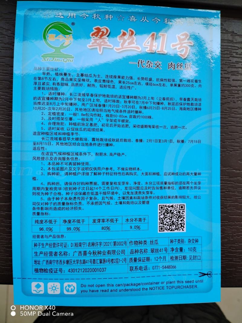 翠丝41号早熟抗病高产瓜型匀称