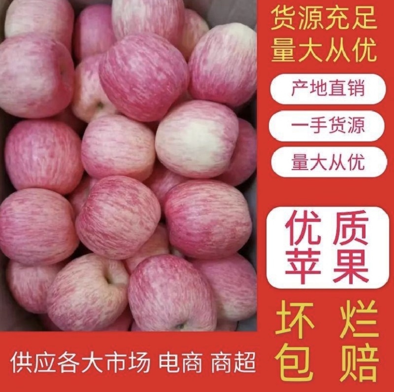 红富士苹果适合电商社区团购批发零售超市等质量有保证