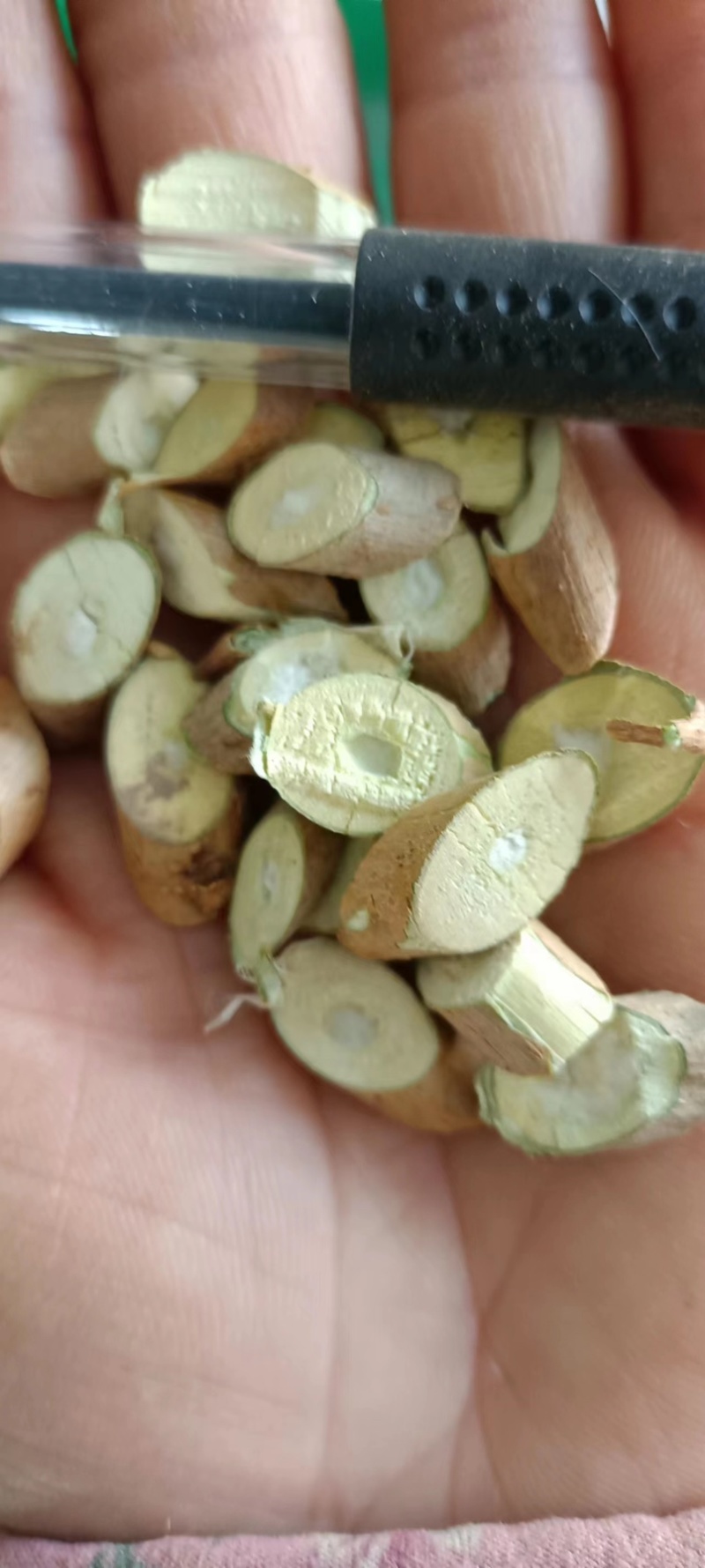 桑枝通货，产地发货货源充足，质量保障有需要的老板随时联系