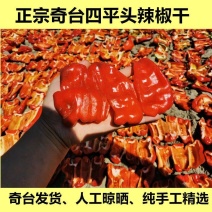新疆奇台四平头干辣椒500克一袋电商供货精选品质