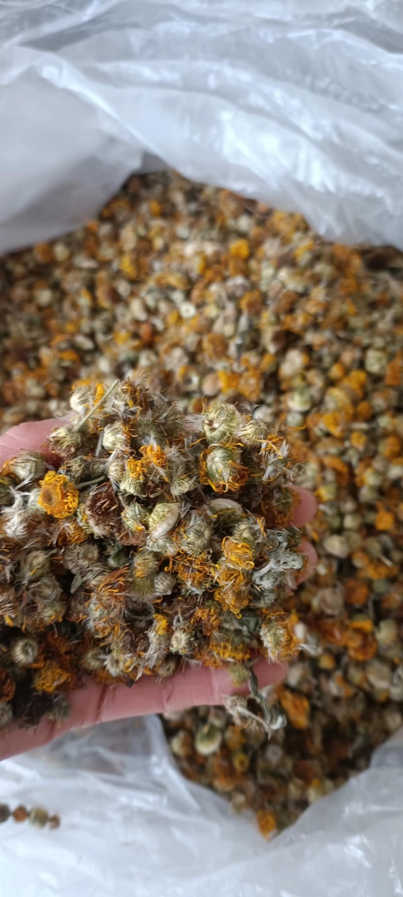 旋覆花，产地发货货源充足，量大从优欢迎老板联系