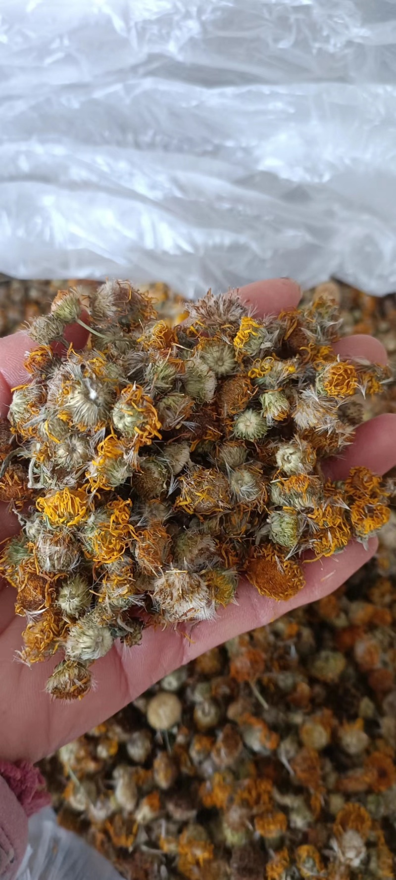 旋覆花，产地发货货源充足，量大从优欢迎老板联系