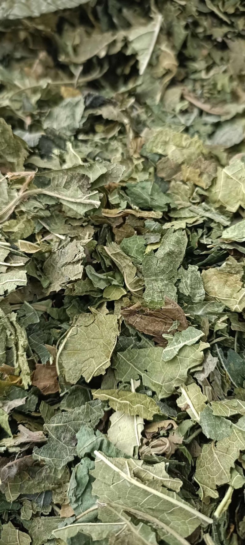 过筛霜叶，桑叶产地发货货源充足，欢迎老板联系。