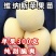 苹果树苗嫁接品种红富士维纳斯鲁丽耐寒盆地栽南北方种植