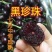【特大果】车厘子大樱桃树苗俄罗斯八号美早大红灯