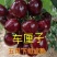 【特大果】车厘子大樱桃树苗俄罗斯八号美早大红灯