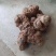 大量出售四川红土茯苓