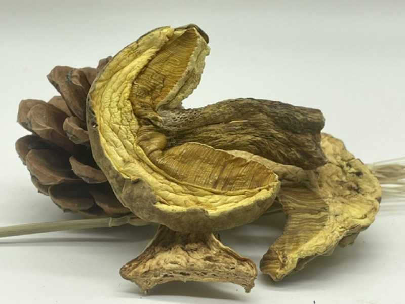 干货黄牛肝云南野生黄牛肝