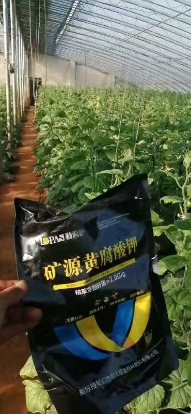 矿源黄腐酸钾母粉[生根壮苗改良土壤调节酸碱