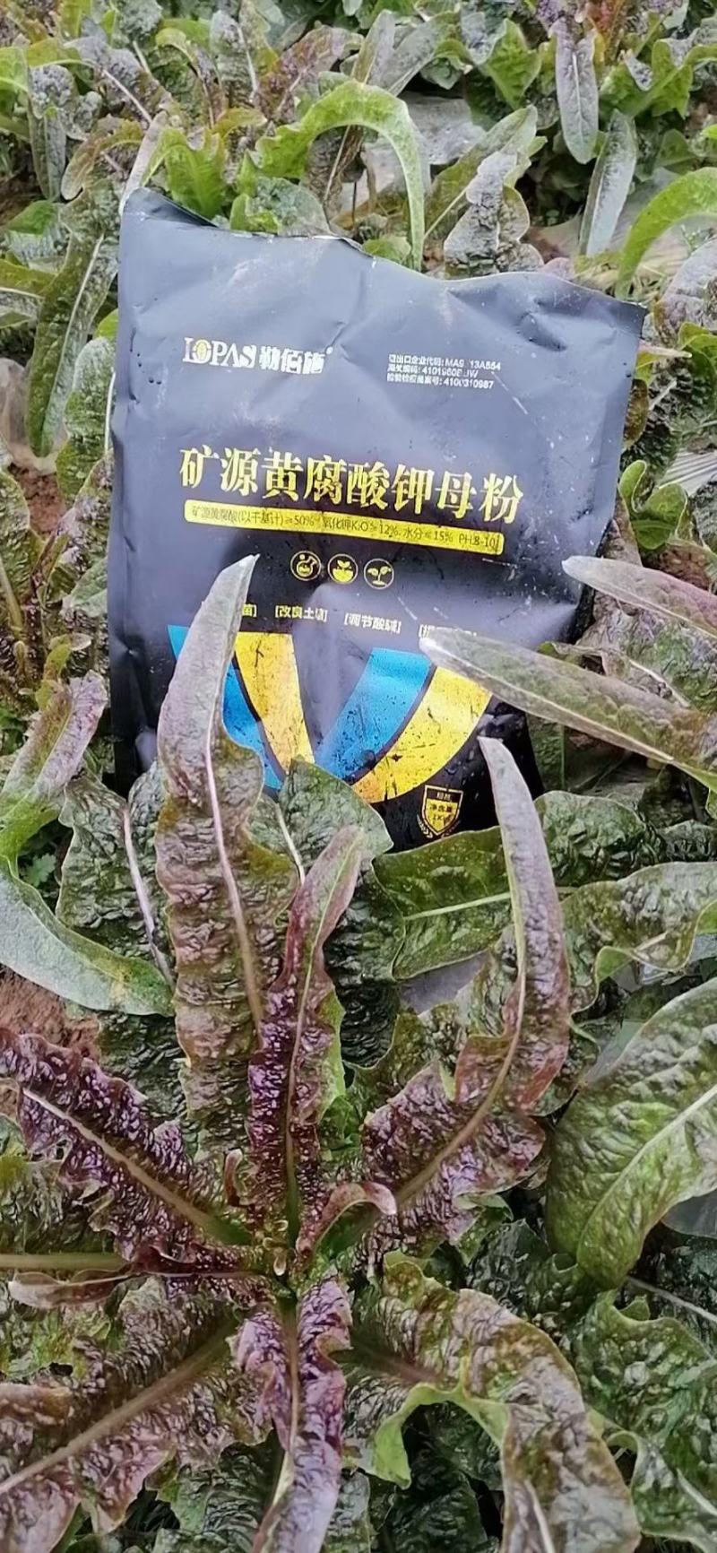 矿源黄腐酸钾母粉[生根壮苗改良土壤调节酸碱