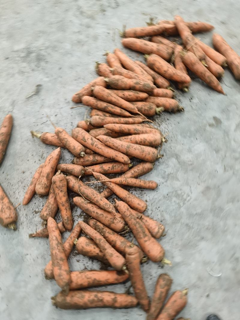 大量供应已上产品，价格美丽。