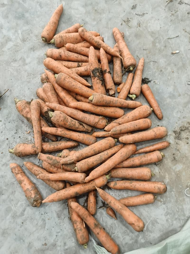 大量供应已上产品，价格美丽。
