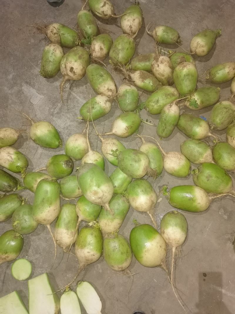 大量供应已上产品，价格美丽。