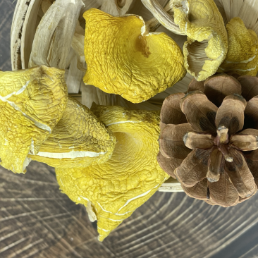鸡油菌干货