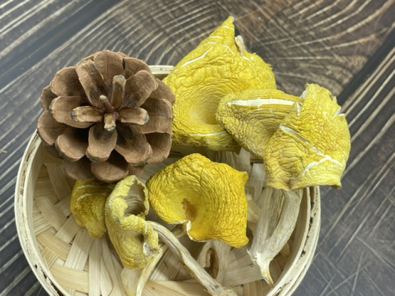 鸡油菌干货