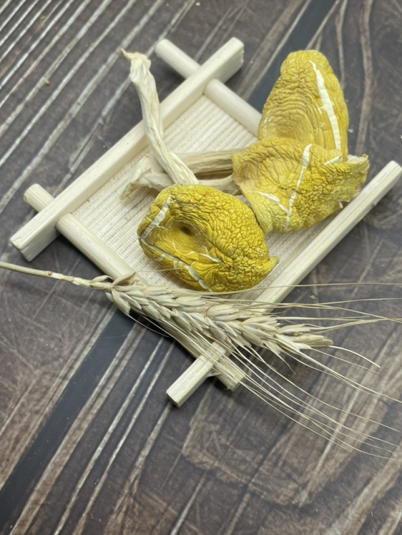 鸡油菌干货