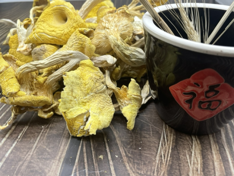 鸡油菌干货