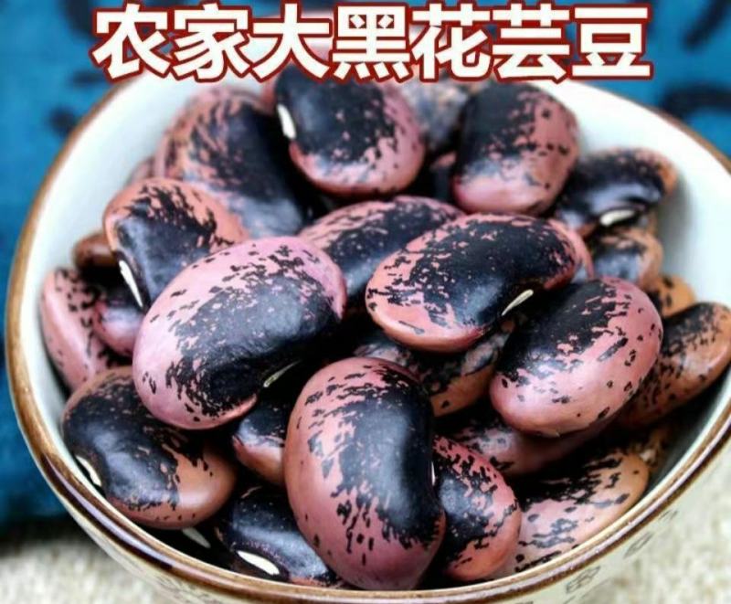 农家黑花芸豆大黑花芸豆肾豆颗粒饱满好煮易糯包邮