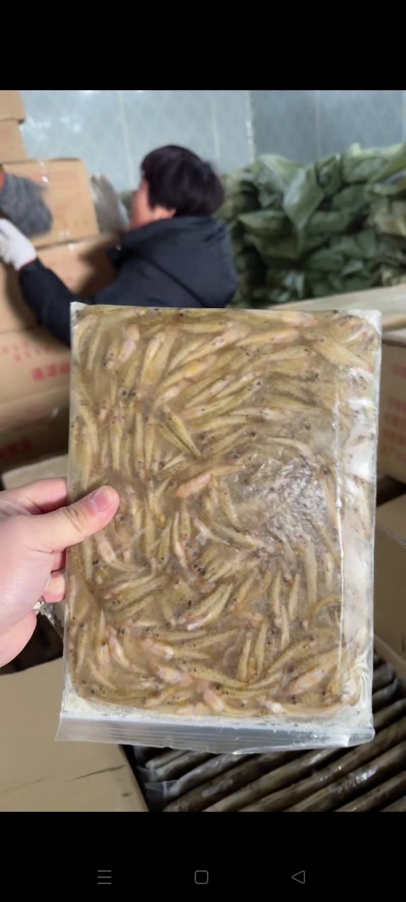 山根鱼，小黄鱼，沙地爬，河虾