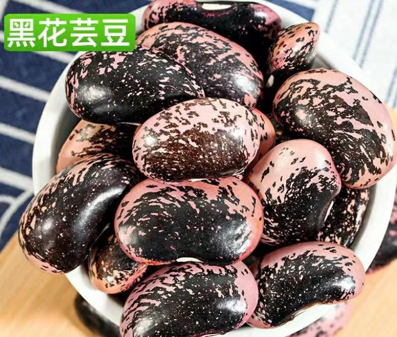 农家黑花芸豆大黑花芸豆肾豆颗粒饱满口感香糯包邮