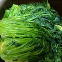 绿雪菜东台优质咸菜绿雪里红绿色雪里蕻新鲜腌制下饭菜酱菜