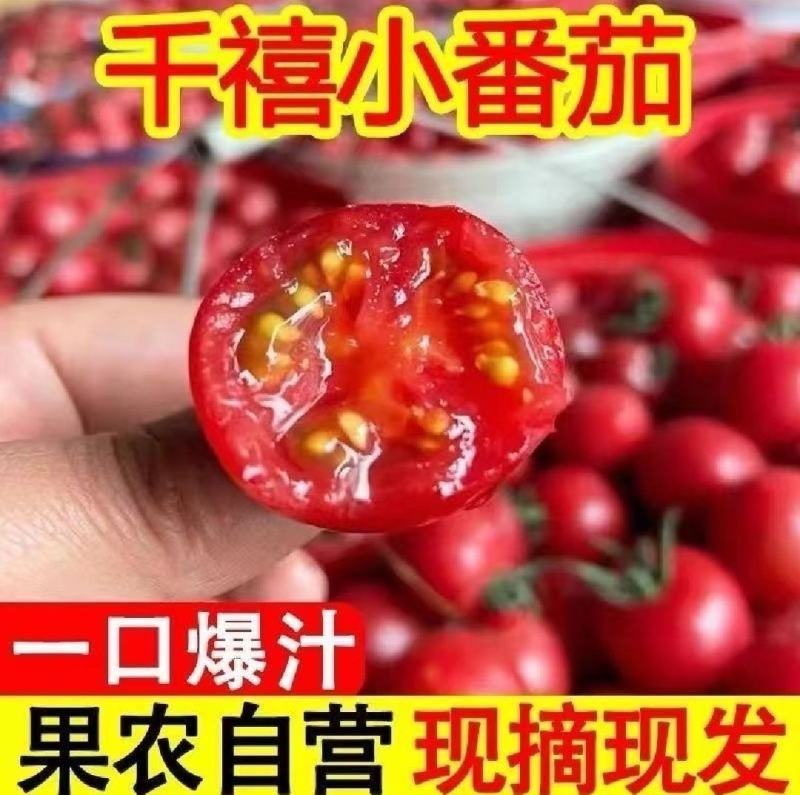 海南陵水千禧，承接电商平台，社区团购，整车市场批发。