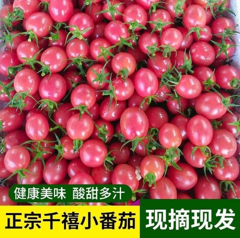 海南陵水千禧，承接电商平台，社区团购，整车市场批发。