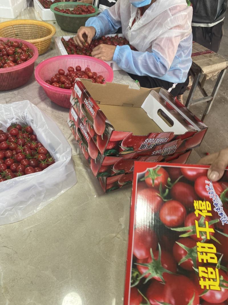 海南陵水千禧，承接电商平台，社区团购，整车市场批发。