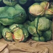 扁甘蓝袋装新鲜扁包菜产地直供量大价优质量保证