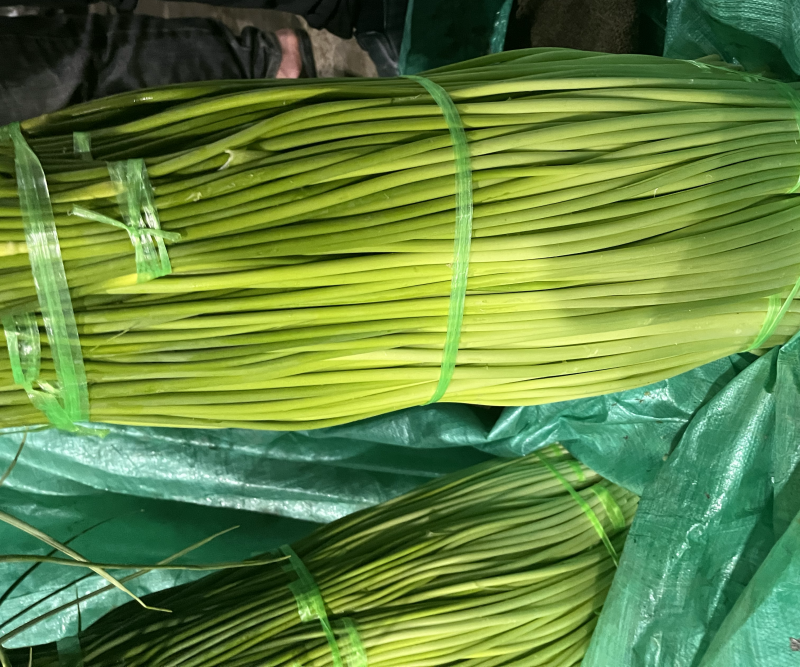 云南大理蒜薹大量上市需要的联系价格会越来越低