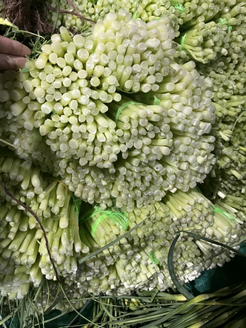 云南大理蒜薹大量上市需要的联系价格会越来越低