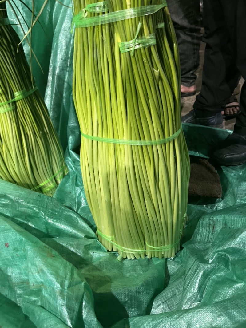 云南大理蒜薹大量上市需要的联系价格会越来越低