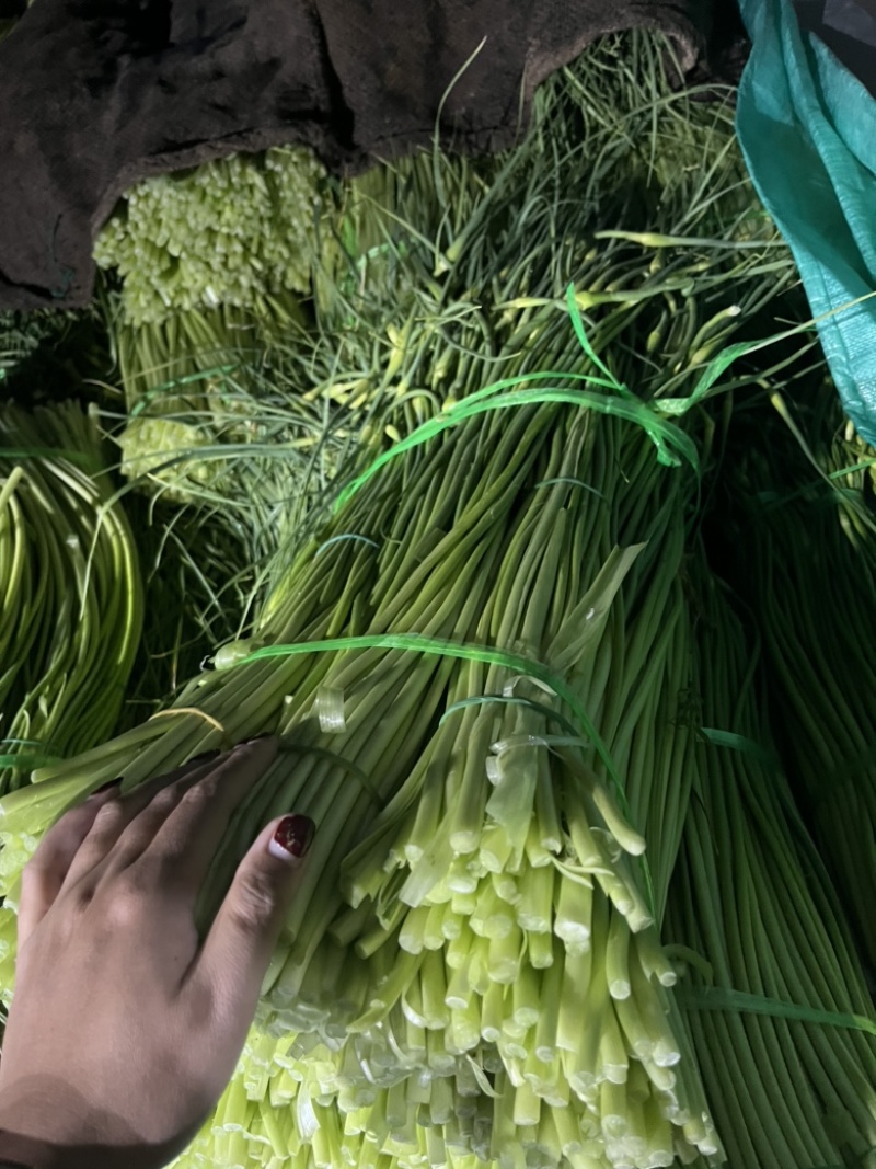 云南大理蒜薹大量上市需要的联系价格会越来越低