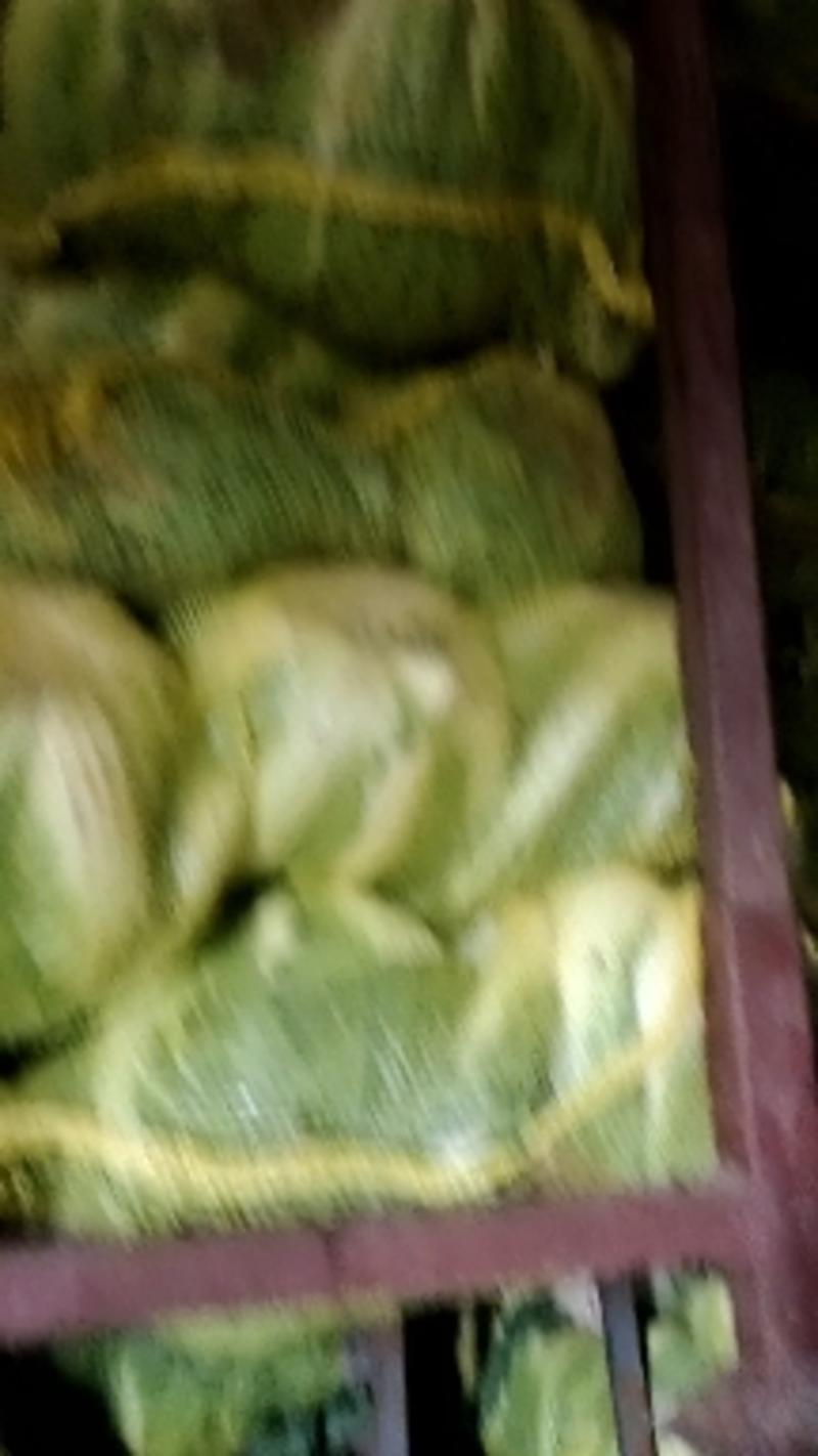 大白菜黄心菜叶子绿菜心黄产地直供长期有货量大价优