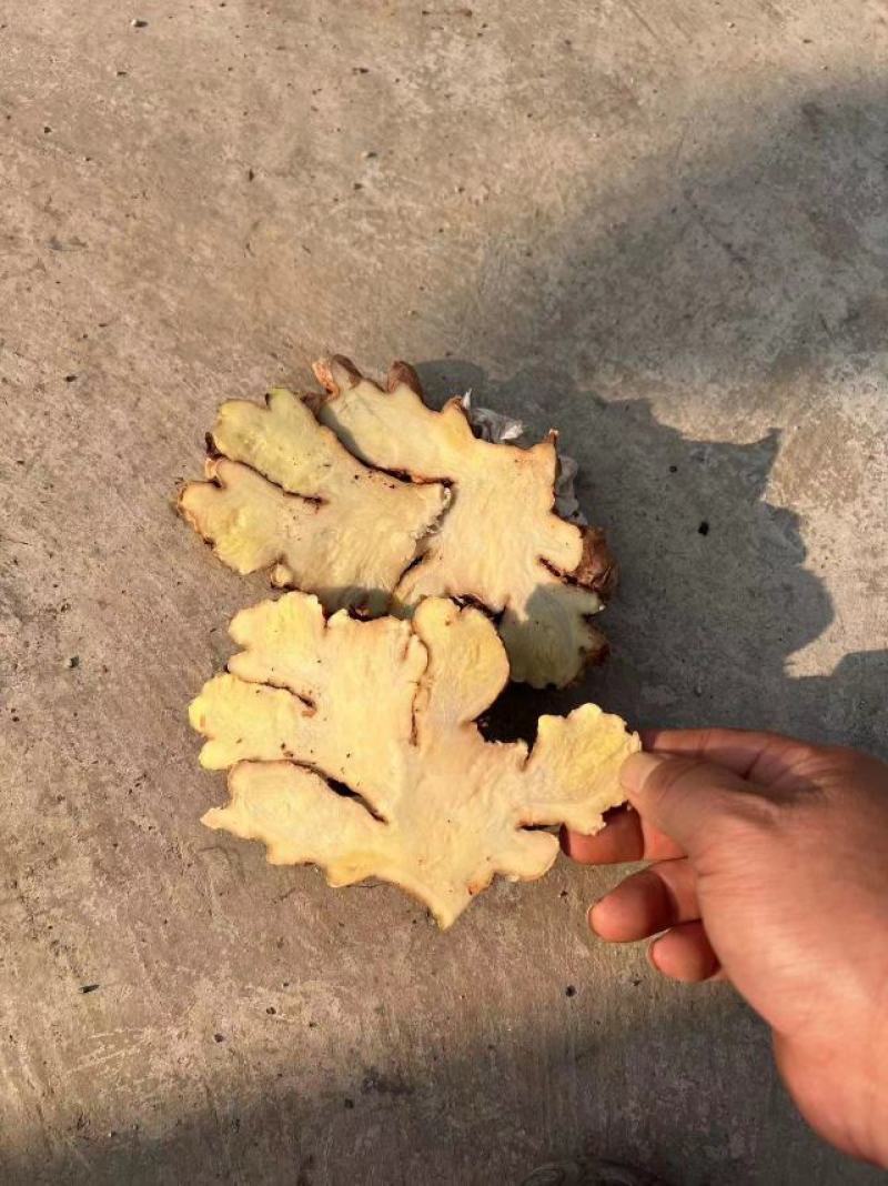 贵州二黄姜大量供应，有实力的电商客户联系我