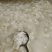 猪黄喉耳朵猪黄喉猪心管冒菜麻辣烫串串烧烤火锅
