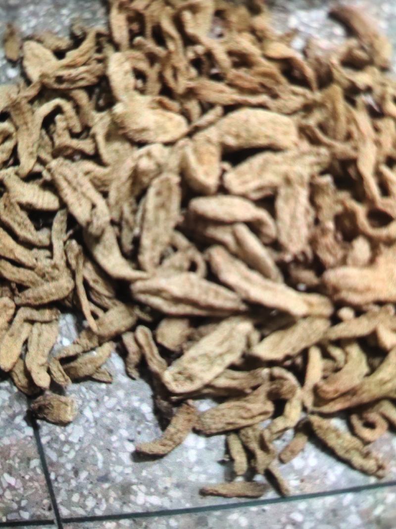 天麻