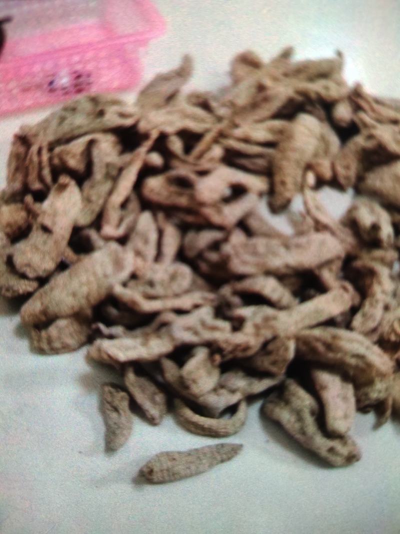 天麻