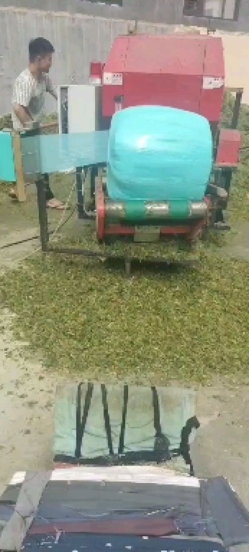 巨菌草打包发酵优质牧草牛羊鹅牧草牧草